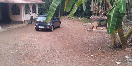 42 cents of land with single floor traditional house  for sale at Kidangannoor, near St. Thom Marthoma Church.