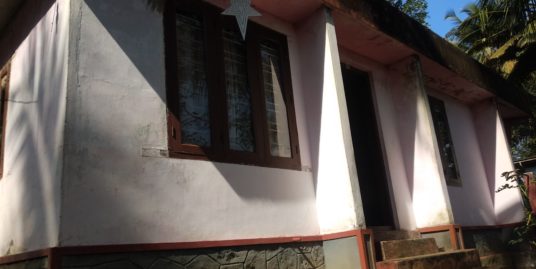 House and Land for sale at Naranganam, Thonniamala, Pathanamthitta