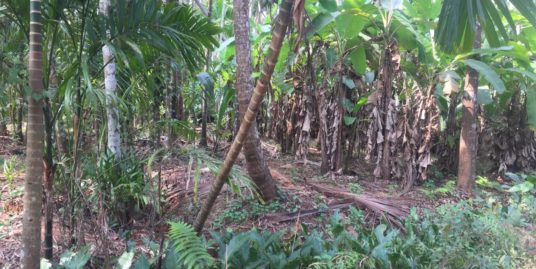 12 Cent Plot For Sale Behind Menapuram East UP School Mekunnu