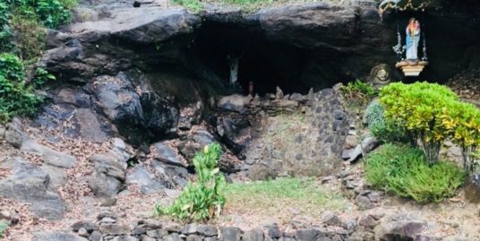 Residential Plot For Sale at  of Adoor