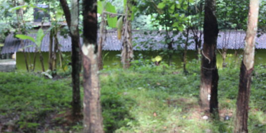 65 Cents of Residential Land and Small Old house for Sale in Adoor Municipality