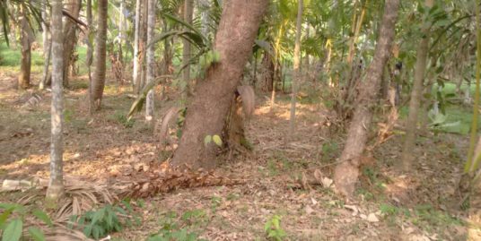 9.5 Cent Housing Plot for Sale Near Ayyappa Madom on Thalassery – Kuthuparamba road