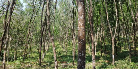 65 cents of Land for Sale in Pathanapuram, Kollam