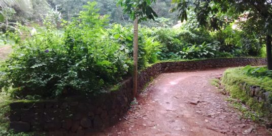 24 Cents Residential Plot For Sale Near Ernakulam