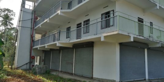 New residential building with 10 apartments for sale near Triprayar, Thrissur facing Highway