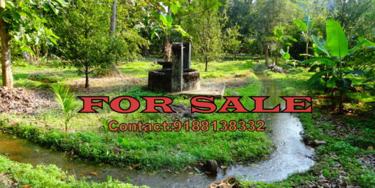 25 Cents Residential plot for sale Velloor, Mavallooor, Piravom