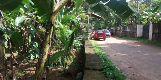 Six Cents Residential Square Plot for Sale at Thrikkanamangal,  kottarakkara
