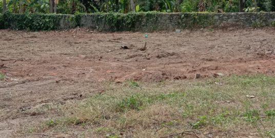 20 to 40 Cents of Land for Rent in Adoor Town