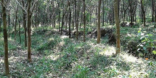 25 Cents Plot for sale at Marangattupilly, Kottayam
