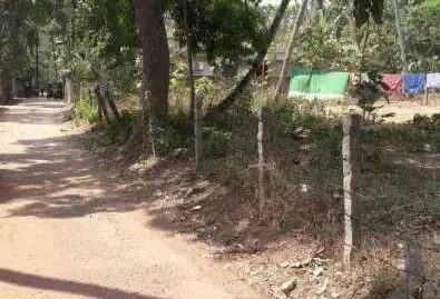 28 Cents of Rectangular, Level plot for Sale at Anchalummood