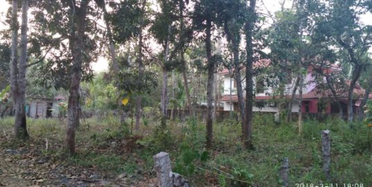 28 Cents Land for Sale Near Thekkekara (PO), Ponnezha society, Mavelikkara