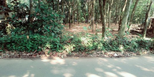 15 Cent plot for sale , 3 Lakhs Per Cent , 4 Km from Vazhakulam