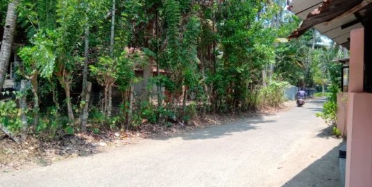 34 Cent plot with house for sale in Karunagappally