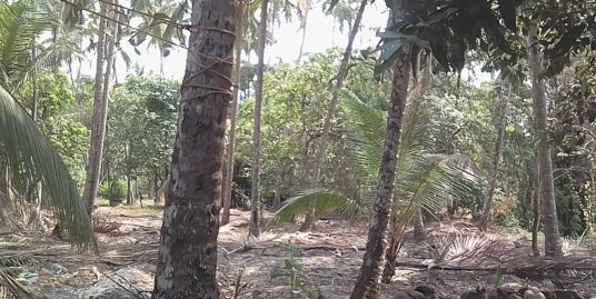 25 Cent Property for Sale at Puvathur, Thrissur