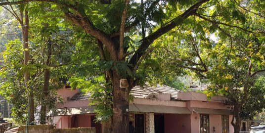 24 cent commercial plot for Sale  at  vazhikkadavu bus stand -Gudalur state highway frontage