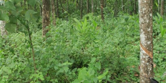 75 cents and 42 Cents of land For Sale at vellavoor village, Kottayam