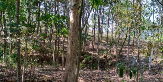 140 cents of land for sale in Peppathy (Veliyanad), near Arakunnam in Ernakulam District