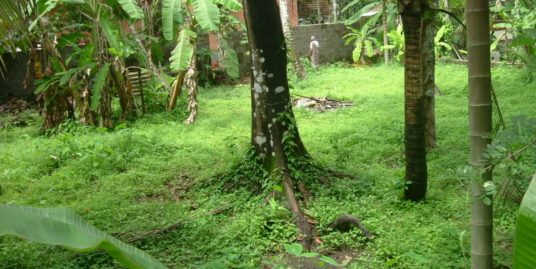 House plot Ponekkara