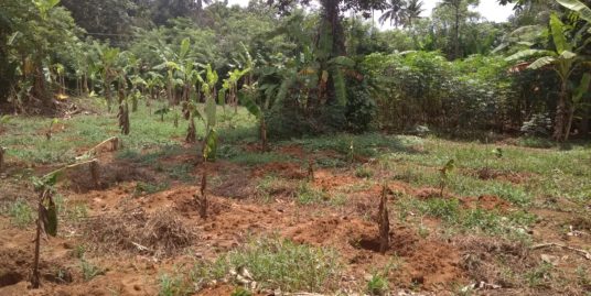 Plot for urgent sale at Edavattom, Maravanthuruthu, Kerala, India