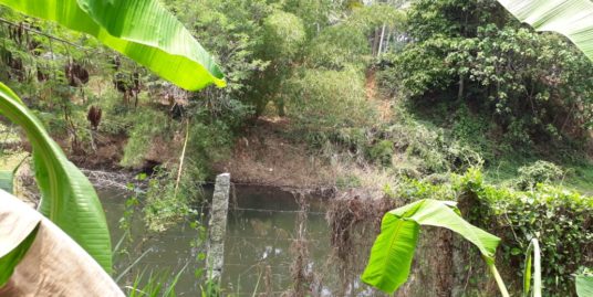 20 Cents River side plot for sale at Thirumala, Thiruvananthapuram