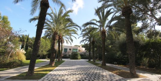 UNIQUE VILLA IN SOL DE MALLORCA 3,500,000€