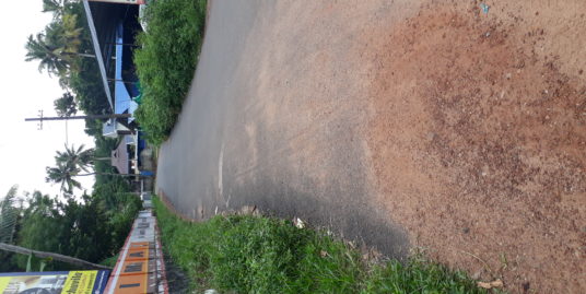 House plot