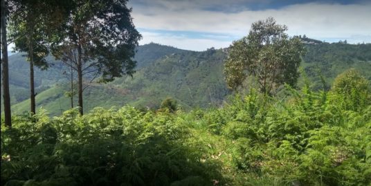 DTCP approved Residential Plots for sale at Kodaikanal