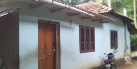 3 BHK house, 20.5cent Land for sale Mannarkkad, Palakkad