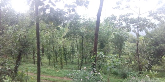 3.30 acre and 1 acre agricultural land for sale . Good for resorts