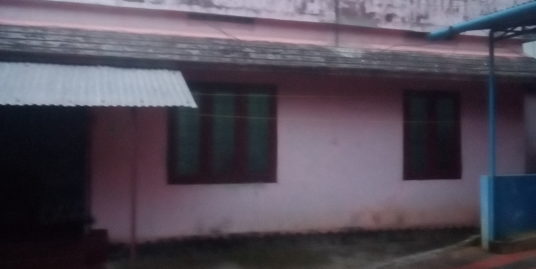 House for selling konni, Pathanamthitta