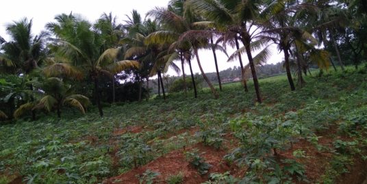 Prime Residential Plot at a strategic location