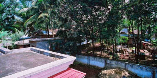 Chottanikara 17 cent with 3 bedroom house for sale