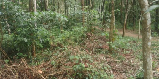 68 cent plot for sale near Cheruvattoor, Kothamangalm