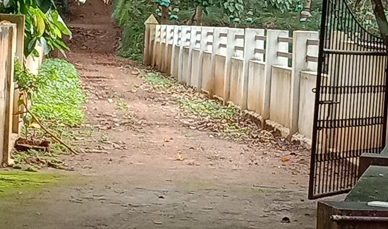 IMG-20191020-WA0036