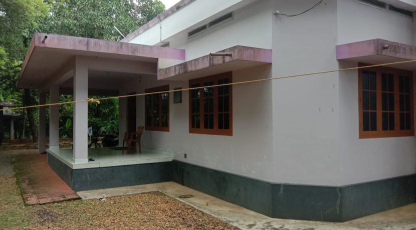 IMG-20191020-WA0045