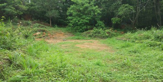 Land for sale