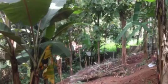 10 cent property and thrikannapuram