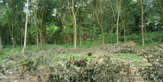 Residential land available for sale