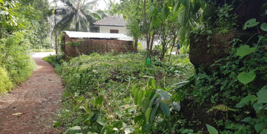 East facing 10 cents rectangular plot sale – Manantheri, Chittariparamba, Kuthuparamba