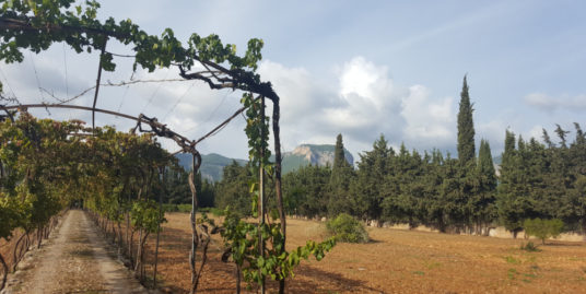TRADITIONAL MALLORCAN FINCA WITH TOURIST LICENCE NEAR ALARO -1.1M EUR