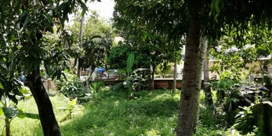 Vattiyoorkavu – Thittamangalam Junction. Prime Property