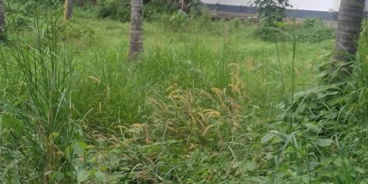 Ideal residential plot 28 cents for sale