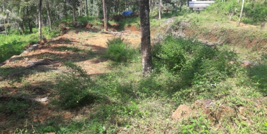 21 cent House Land Property for sale Vellarikundu, Kasaragode.