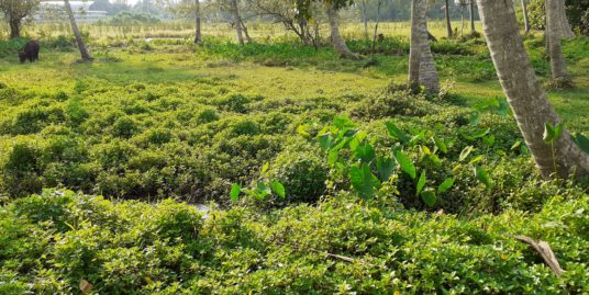 Land For Sale in Thuravoor Alappuzha