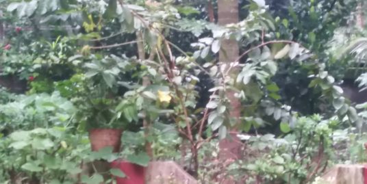 10 Cents square plot