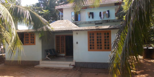 COMMERCIAL PLOT WITH HOUSE SALE IN AMBALAPPARA TOWN, NEAR MANGALYA AUDITORIUM, OTTAPPALAM CONTACT NO:8086452007, 8075305266,