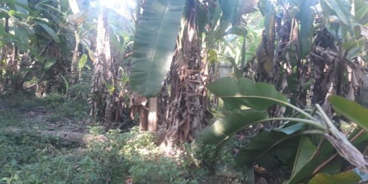 Plot for sale at Pattanakkad, Alapuzha