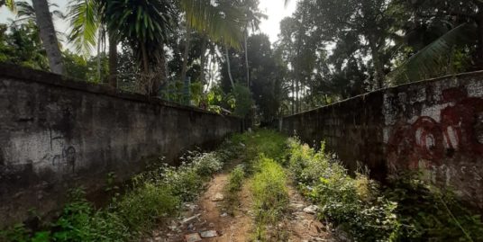 10.5 Cent Square Plot at Kaniyapuram, Trivandrum Near MBHS Opposite AXIS Tutorial The vehicle can enter to the Plot, Roadside Close to Bust Depot, School, Hospitals, Railway station, etc