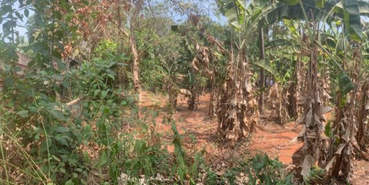 RESIDENTIAL LAND FOR SALE IN VIYYUR