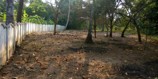 Residential Land for Sale near Irinjalakuda, Aripalam- Edakulam road